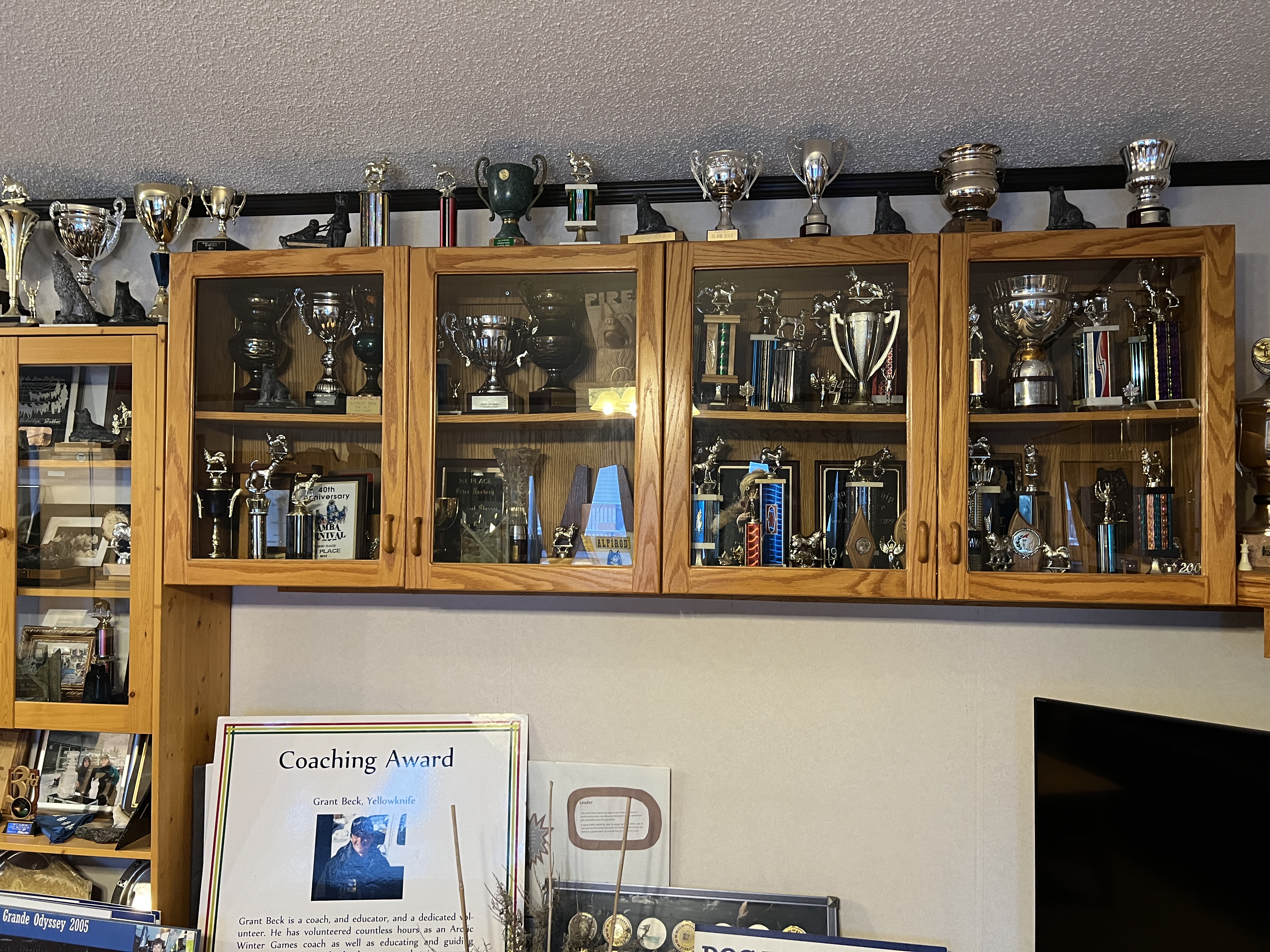 A wall full of trophies